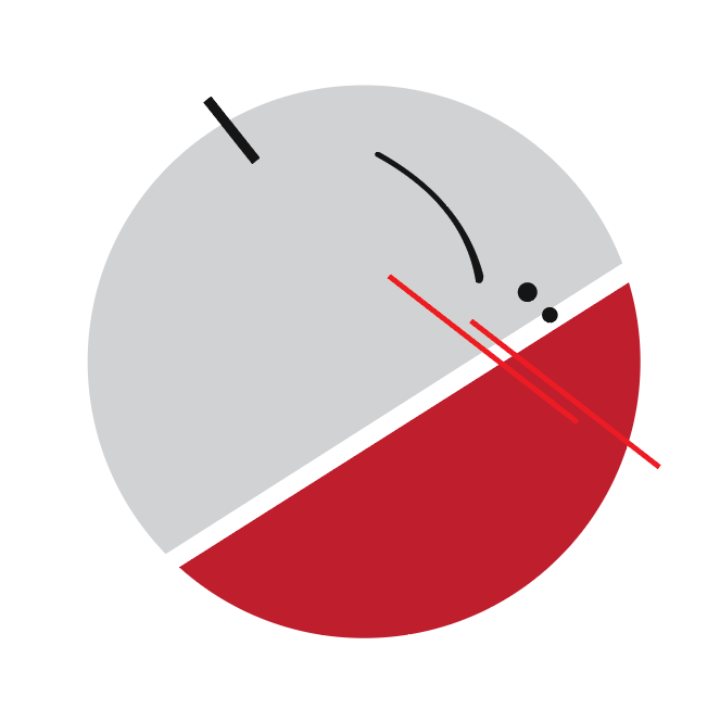 This is what my opposite portrait looks like on Illustrator.