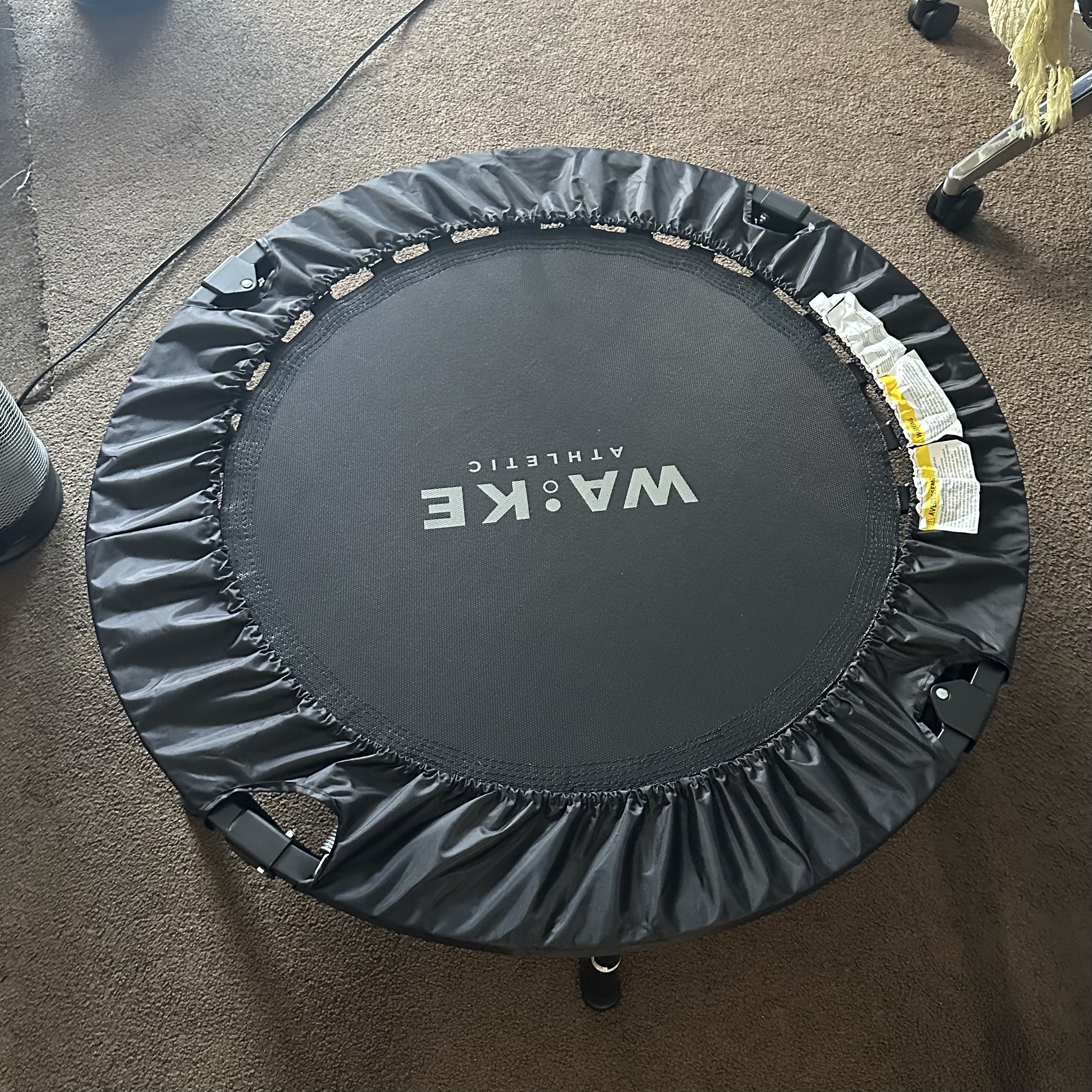 sound of jumping on a trampoline <br><audio controls src='audio/trampoline.m4a'></audio>